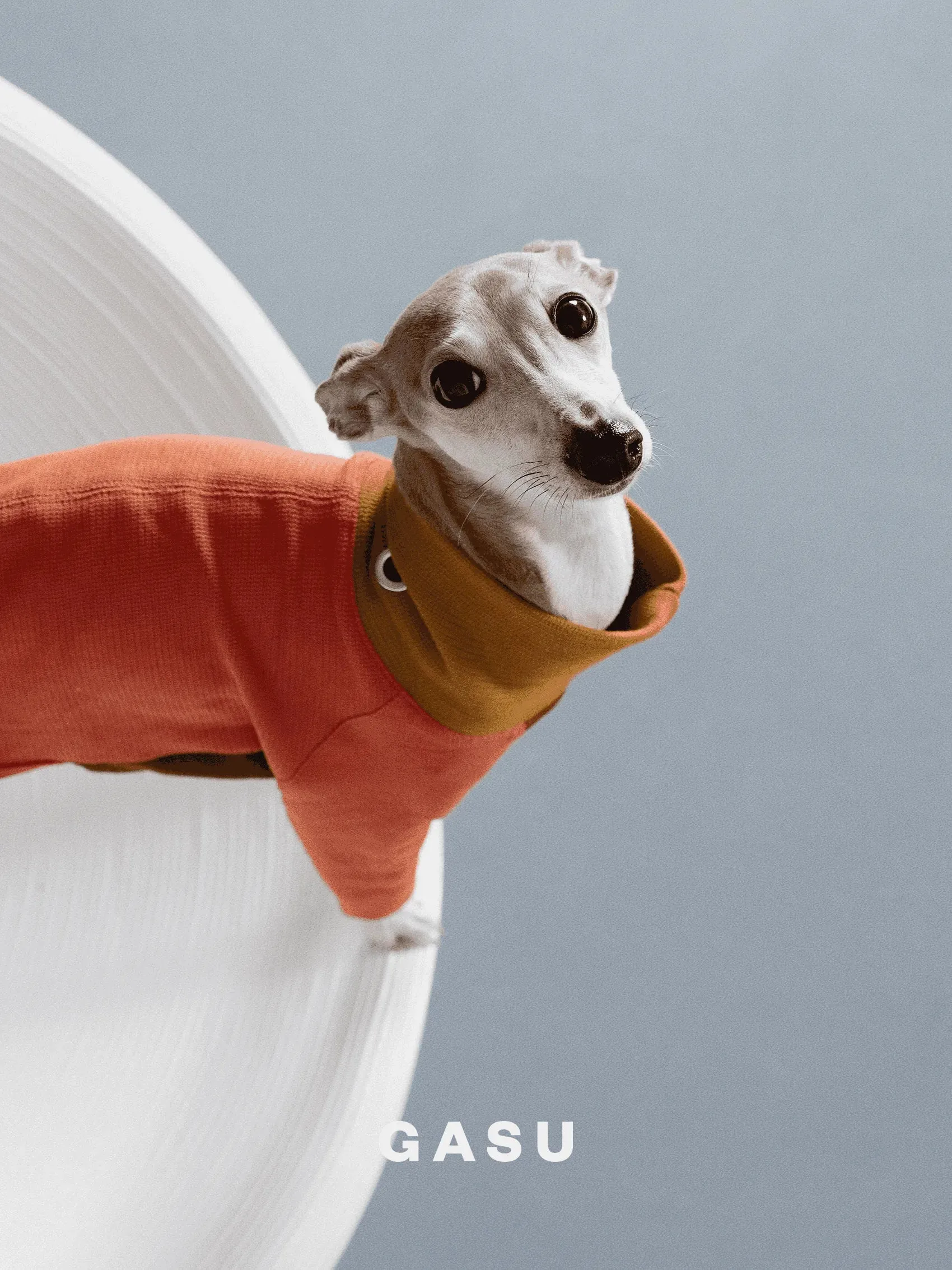 2-Leg Cotton Dog Pullover
