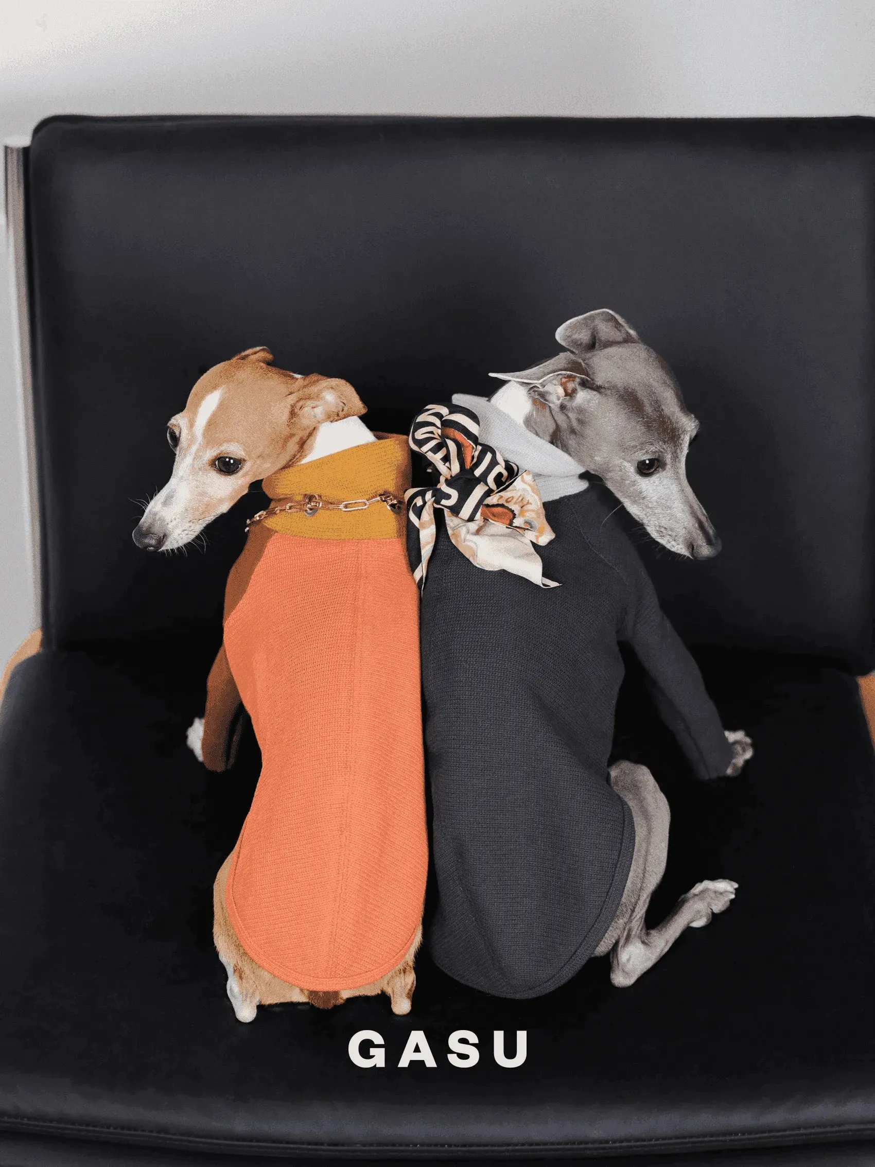 2-Leg Cotton Dog Pullover