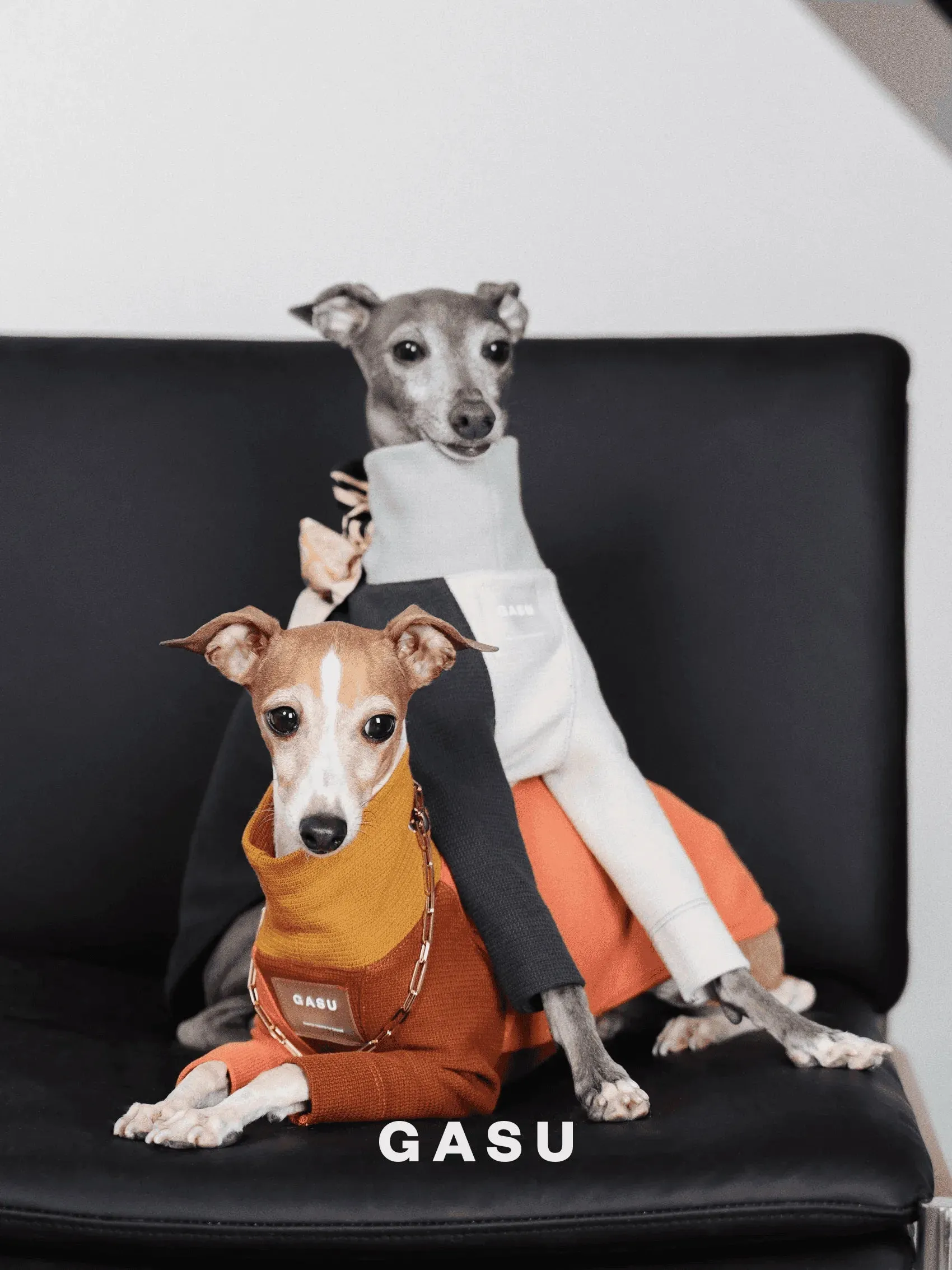 2-Leg Cotton Dog Pullover
