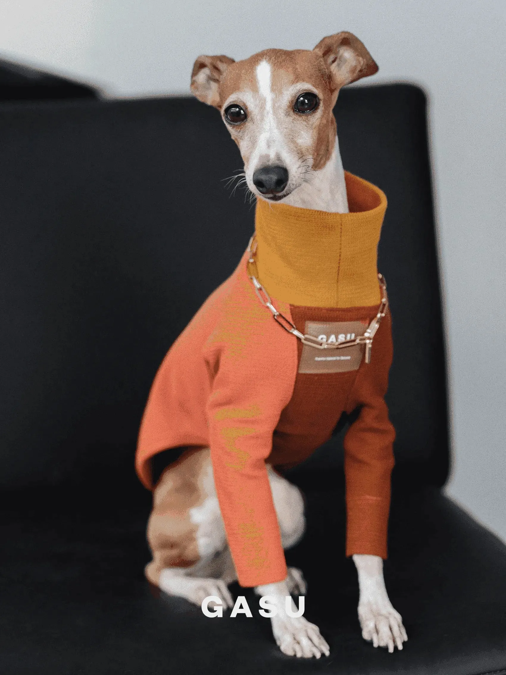 2-Leg Cotton Dog Pullover