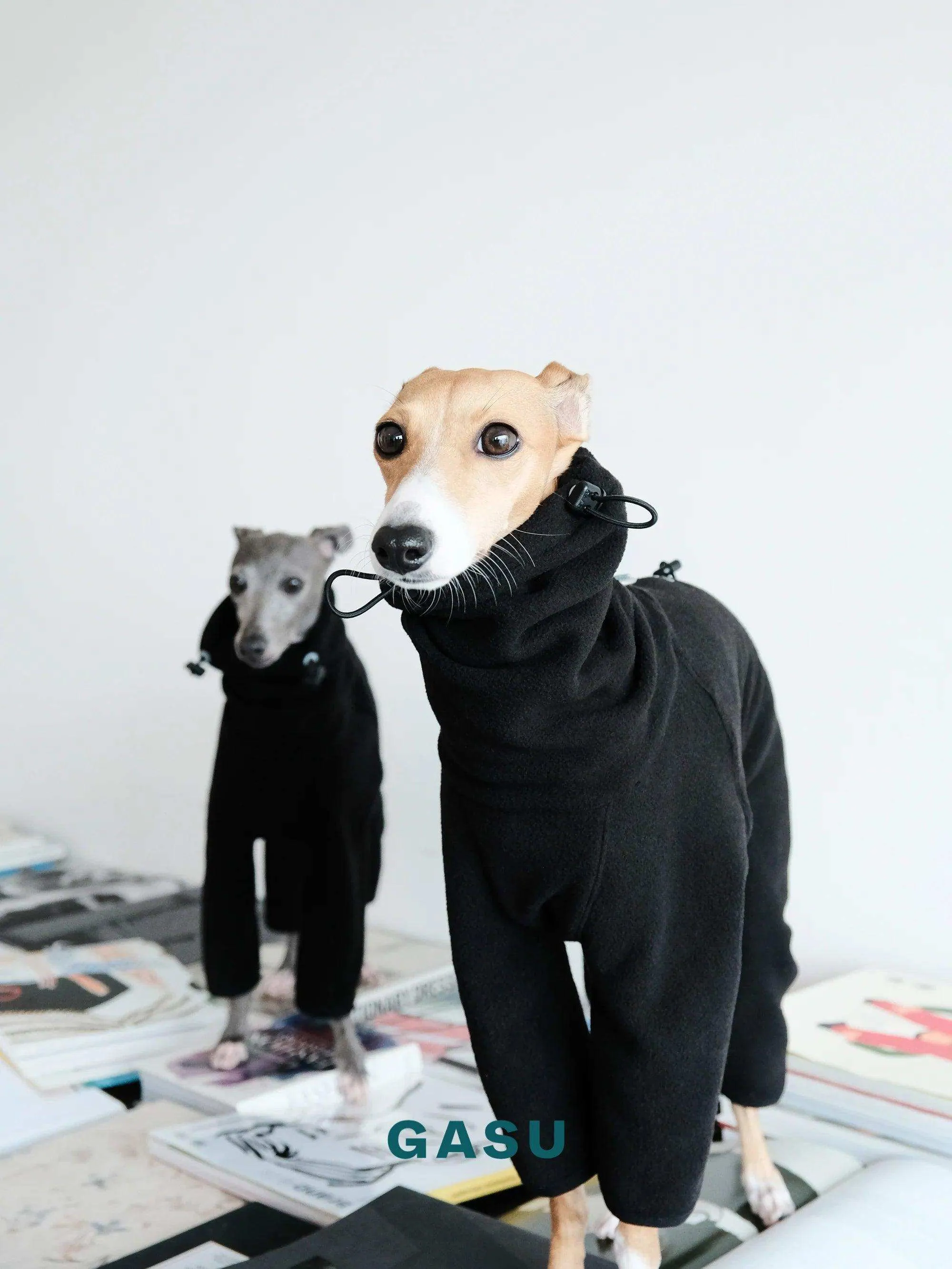 Adjustable 4-Leg Anti-static Fleece Dog Jumpsuit | Black