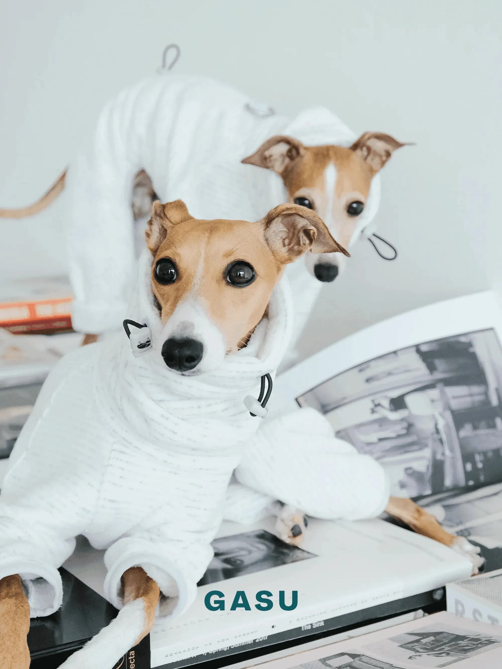 Adjustable 4-Leg Anti-static Fleece Dog Jumpsuit | White
