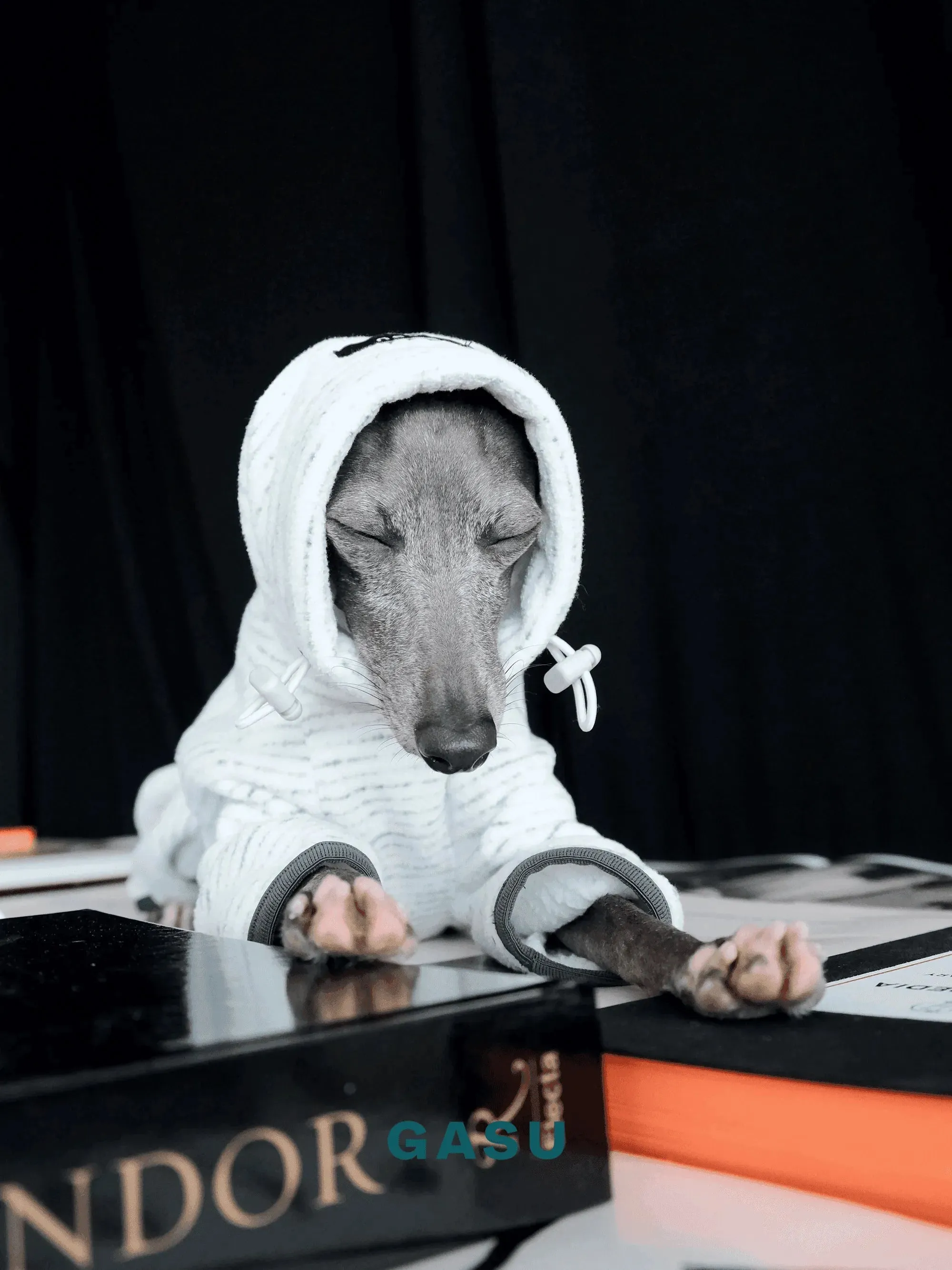Adjustable 4-Leg Anti-static Fleece Dog Jumpsuit | White