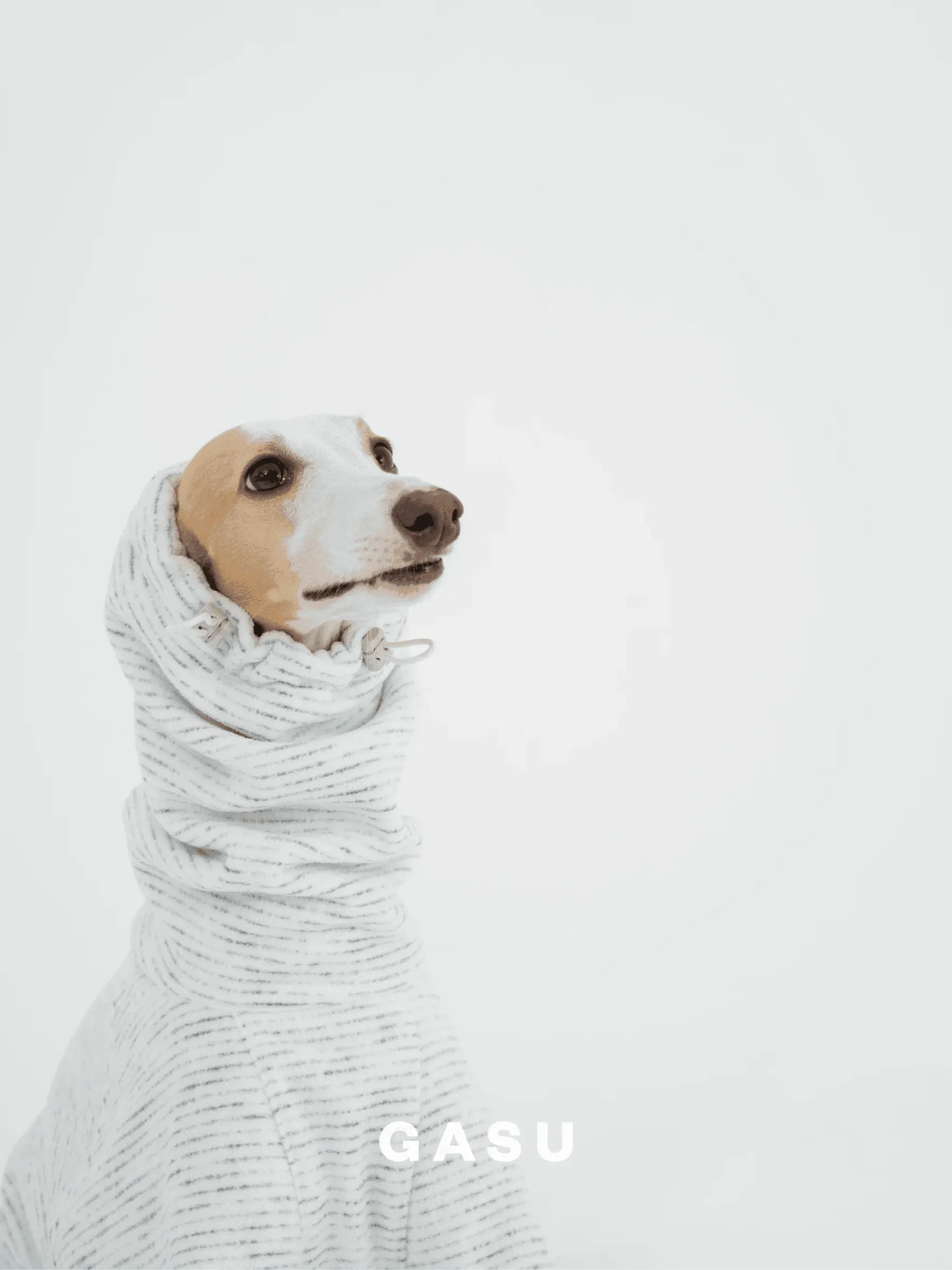 Adjustable 4-Leg Anti-static Fleece Dog Jumpsuit | White