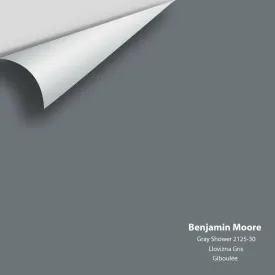 Benjamin Moore - Gray Shower 2125-30 Colour Sample