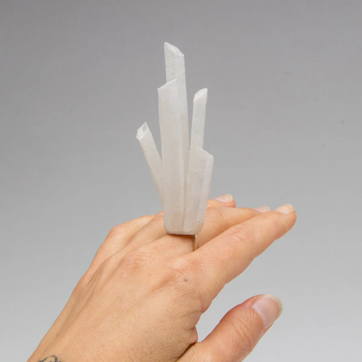 Charity Ridpath - Bubble Wrap Mineral