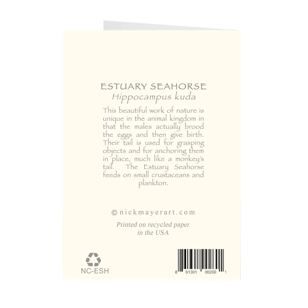 Estuary Seahorse Notecards