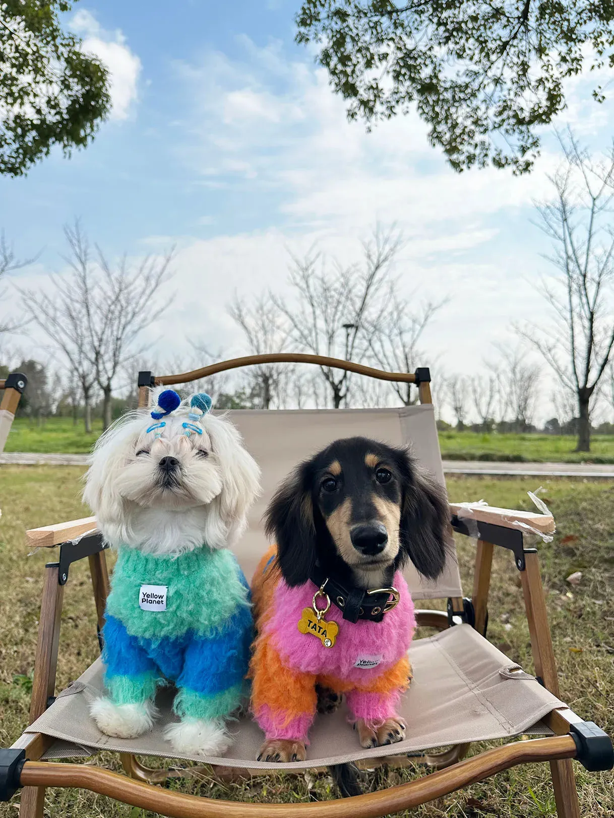 FuwaFuwa | Ultra-Soft Stretchy Fluffy Dog Pullover