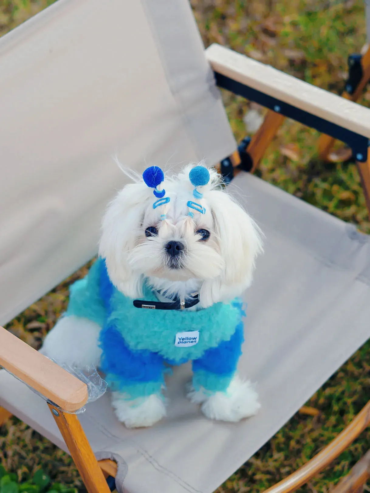 FuwaFuwa | Ultra-Soft Stretchy Fluffy Dog Pullover