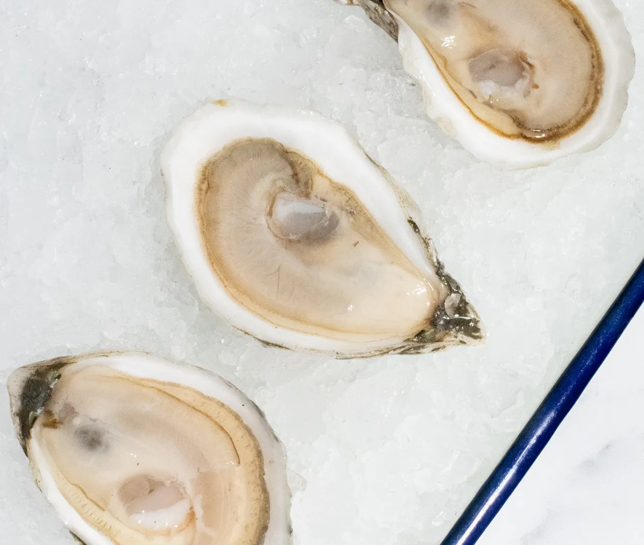 Love Point Oysters from Harpswell, ME