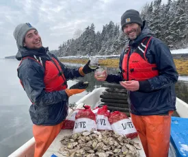 Love Point Oysters from Harpswell, ME