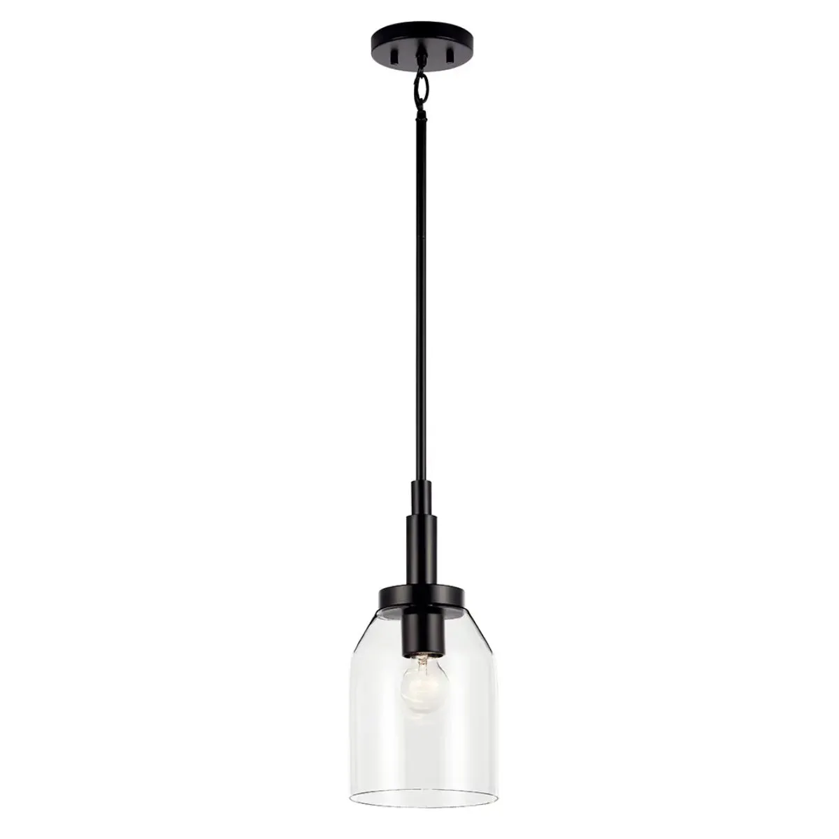 Madden 15" 1-Light Mini Pendant Light with Clear Glass, Black Finish