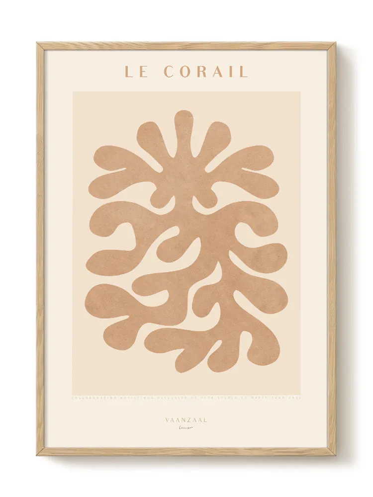 Marin - Le Corail