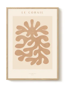 Marin - Le Corail