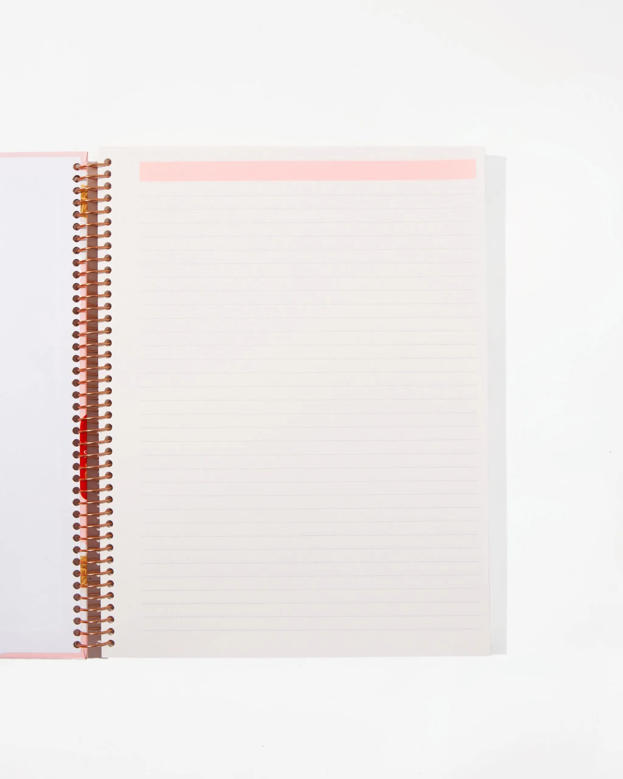 Spiral Notebook - Take Out