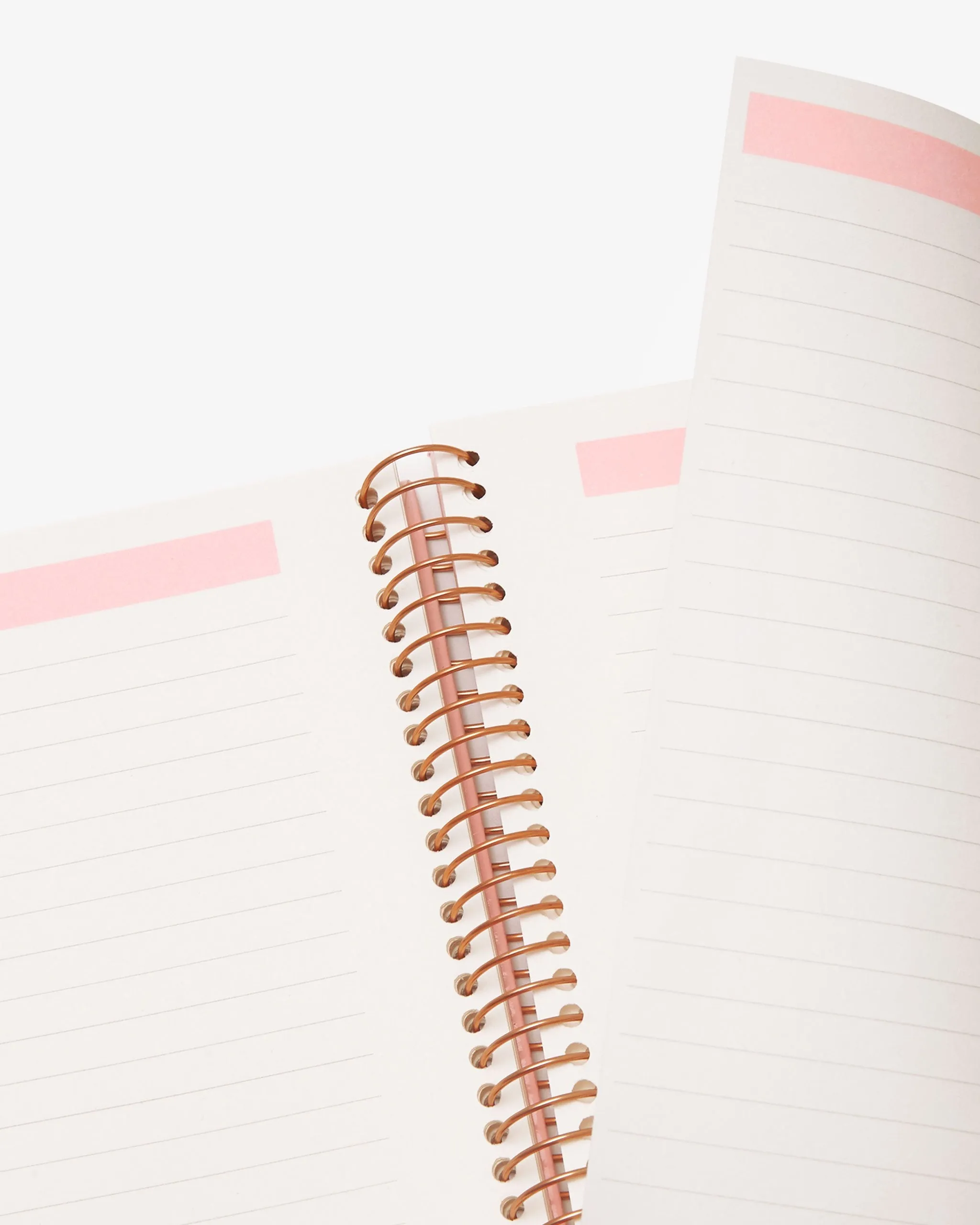 Spiral Notebook - Take Out